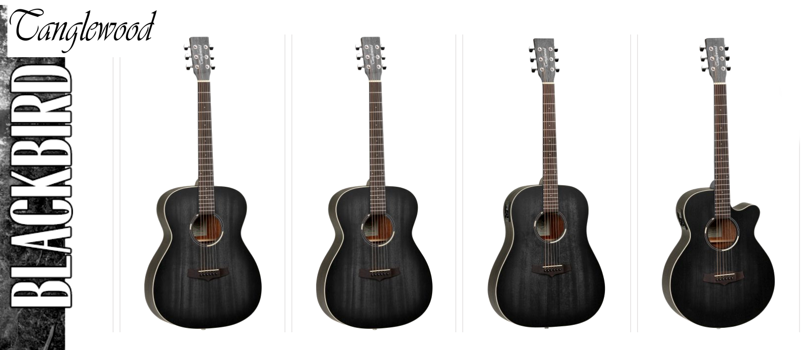 Tanglewood, Blackbird Acoustic Series