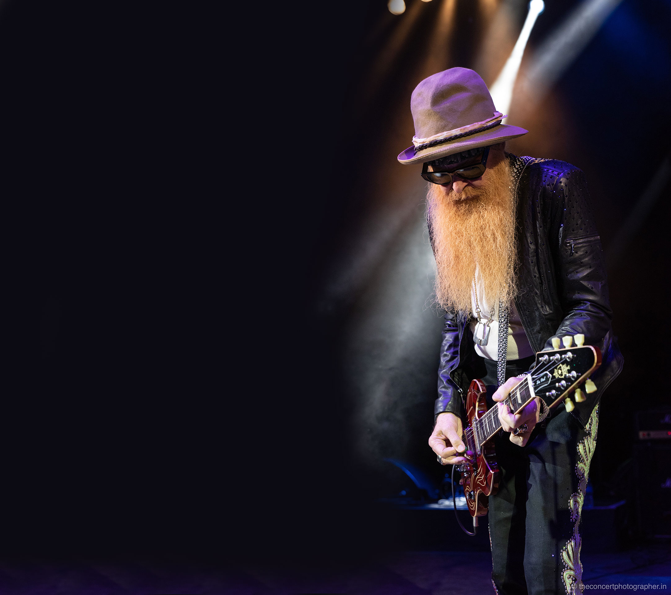 BILLY F GIBBONS THE BIG BAD BLUES