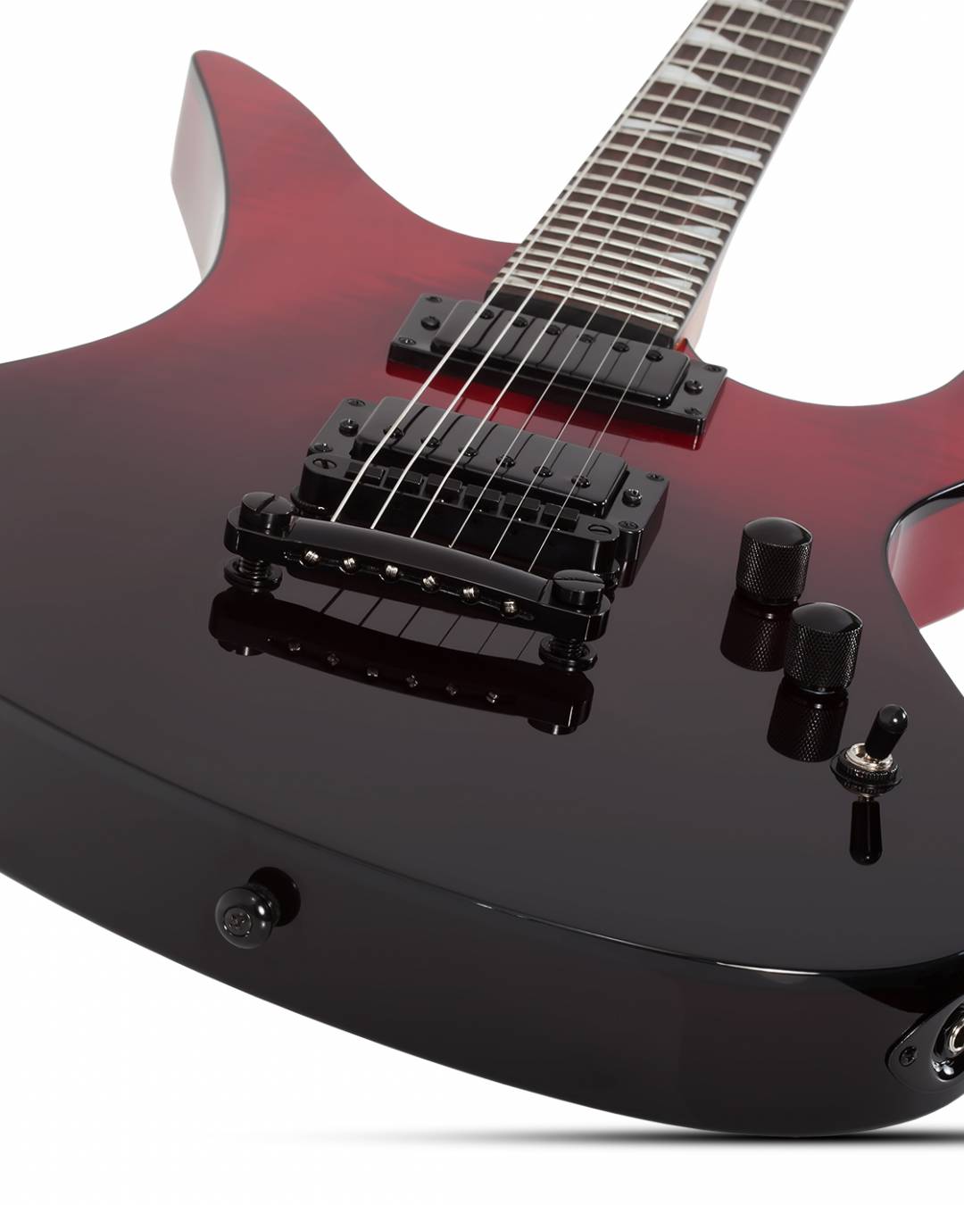 Schecter 10 String SCHECTER Standard Series